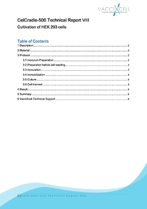 Cultivation of HEK 293 cells